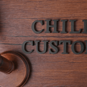 What Is the Difference Between Sole and Joint Custody in a Virginia Divorce