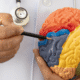 Early Warning Signs of Traumatic Brain Injury After a Virginia Car Accident